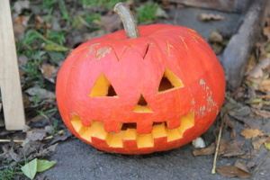 Halloween Gerichte länger frischhalten und vakuumieren!