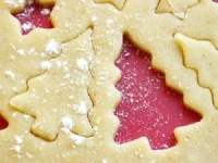 Weihnachtsplätzchen frischhalten im Vakuumierer