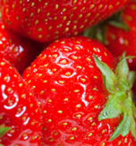 Sommerfrüchte noch lange frisch