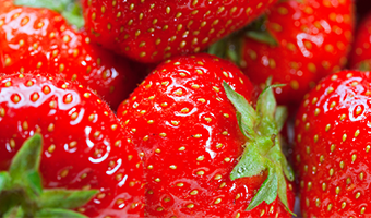 Sommerfrüchte noch lange frisch