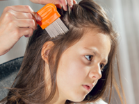 Vakuumierer vielseitig einsetzen