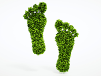 Nachhaltig leben – Kunststoffe vermeiden